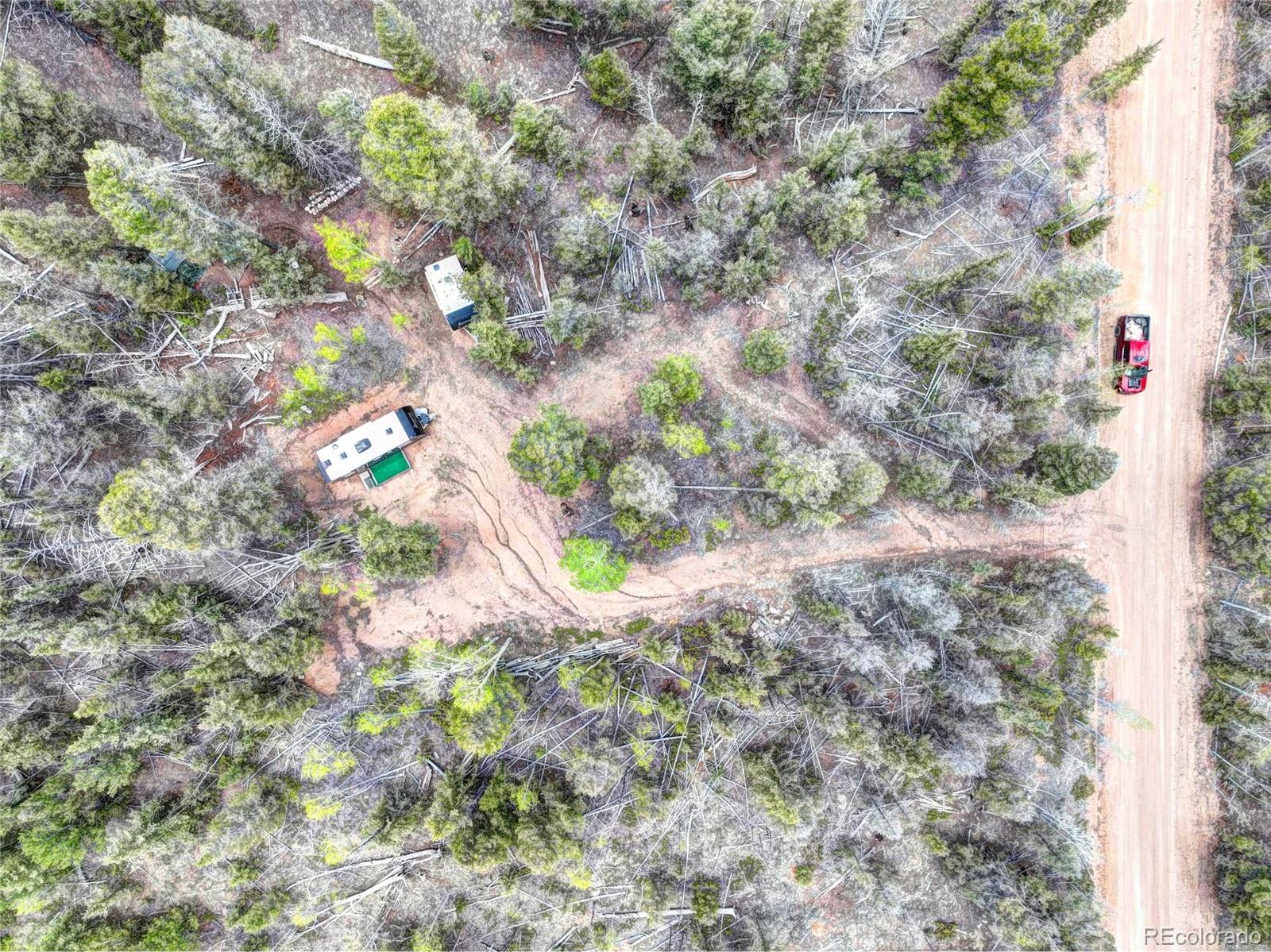 258 Old Squaw Road Como, CO 80432 - Photo 13 of 36 a close up of a tree