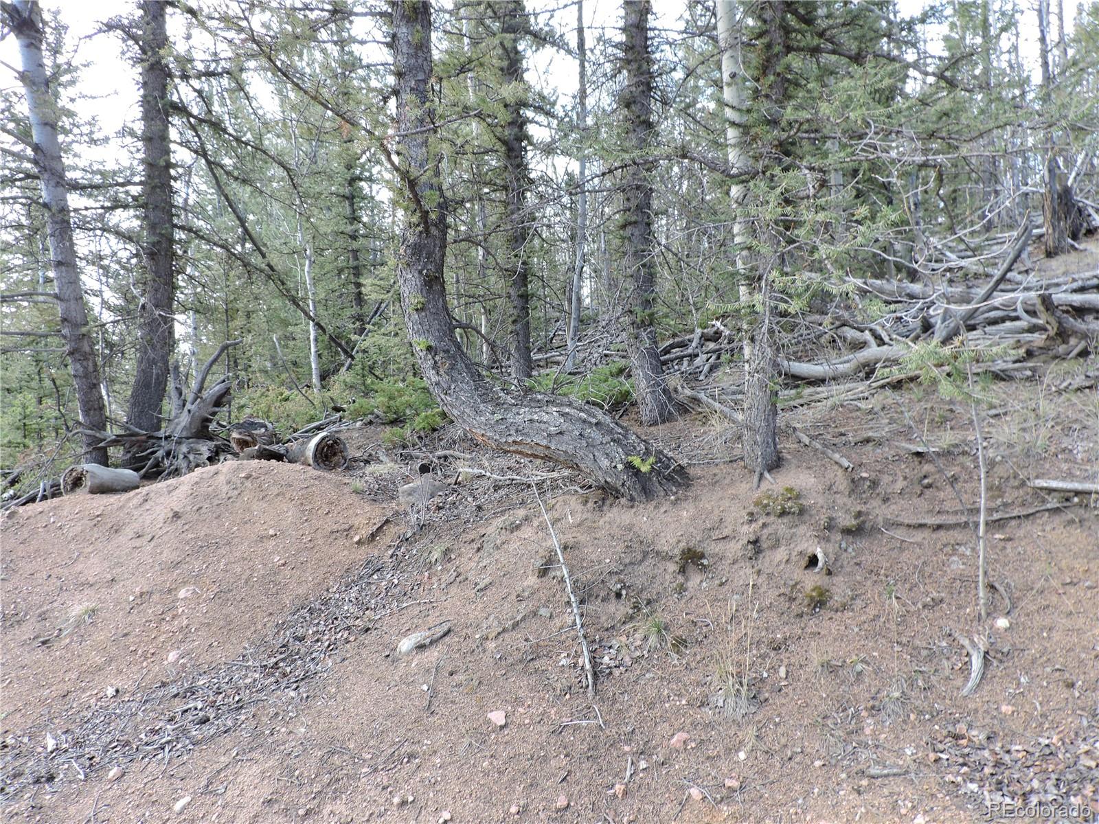 258 Old Squaw Road Como, CO 80432 - Photo 14 of 36 a view of outdoor space and trees