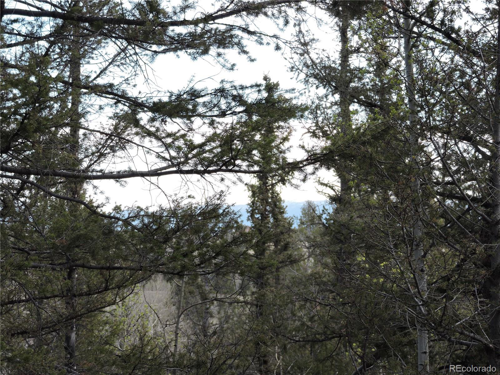 258 Old Squaw Road Como, CO 80432 - Photo 16 of 36 a view of tree from a window