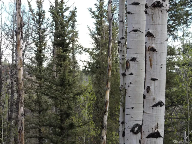 a view of outdoor space with seating area