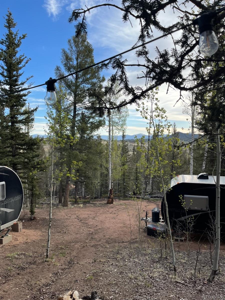258 Old Squaw Road Como, CO 80432 - Photo 18 of 36 a backyard of a house with table and chairs