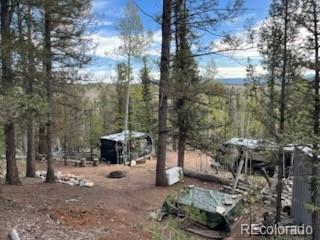 258 Old Squaw Road Como, CO 80432 - Photo 20 of 36 a view of outdoor space with lots of trees