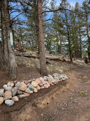 a view of outdoor space with trees