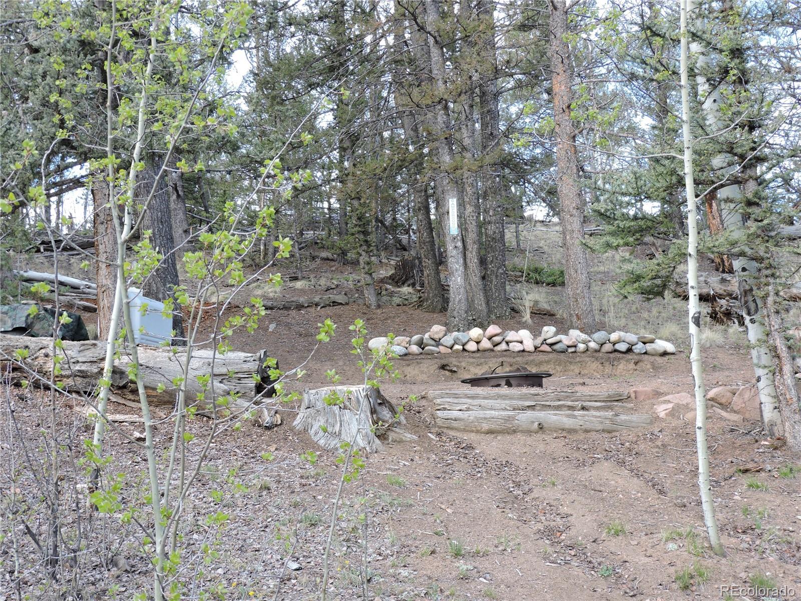258 Old Squaw Road Como, CO 80432 - Photo 23 of 36 a view of a outdoor space