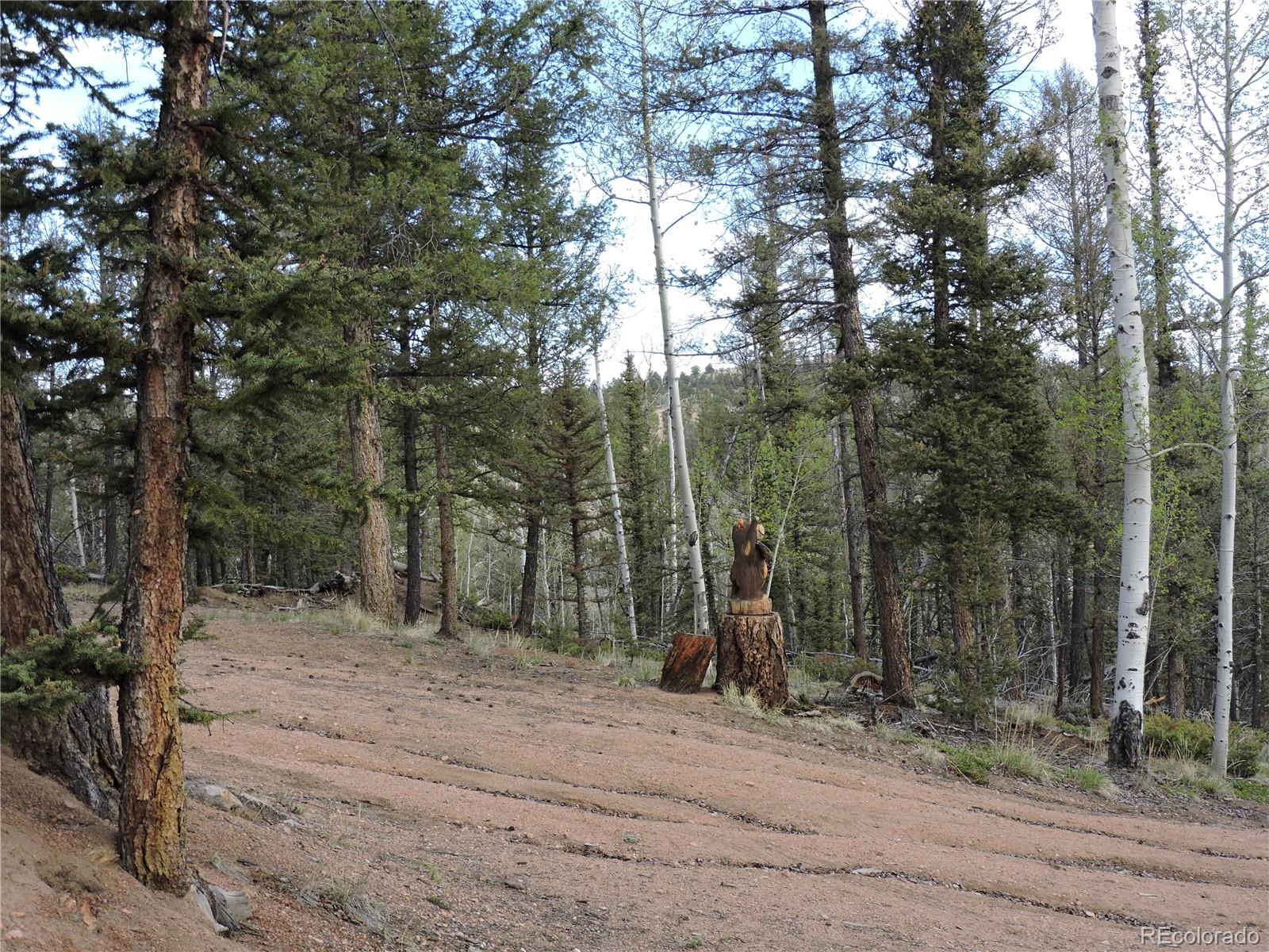 258 Old Squaw Road Como, CO 80432 - Photo 25 of 36 a view of a forest with trees
