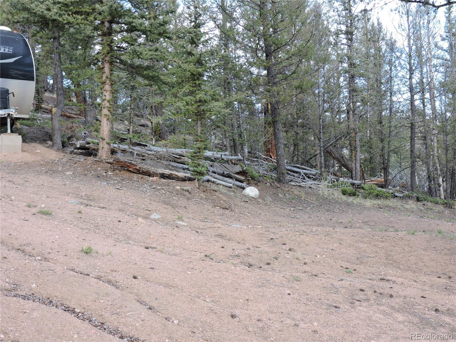 258 Old Squaw Road Como, CO 80432 - Photo 27 of 36 a view of a forest with trees in the background