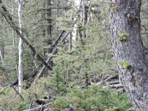 $75,000 | 258 Old Squaw Road, Como, CO 80432