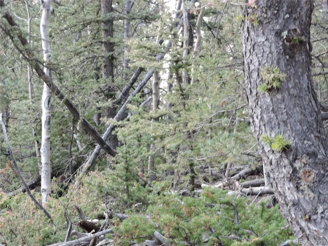 $75,000 | 258 Old Squaw Road, Como, CO 80432