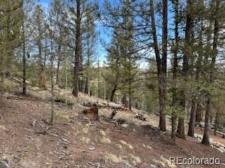 258 Old Squaw Road Como, CO 80432 - Photo 32 of 36 a view of a forest filled with trees