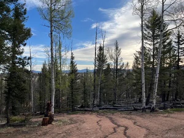 $75,000 | 258 Old Squaw Road, Como, CO 80432