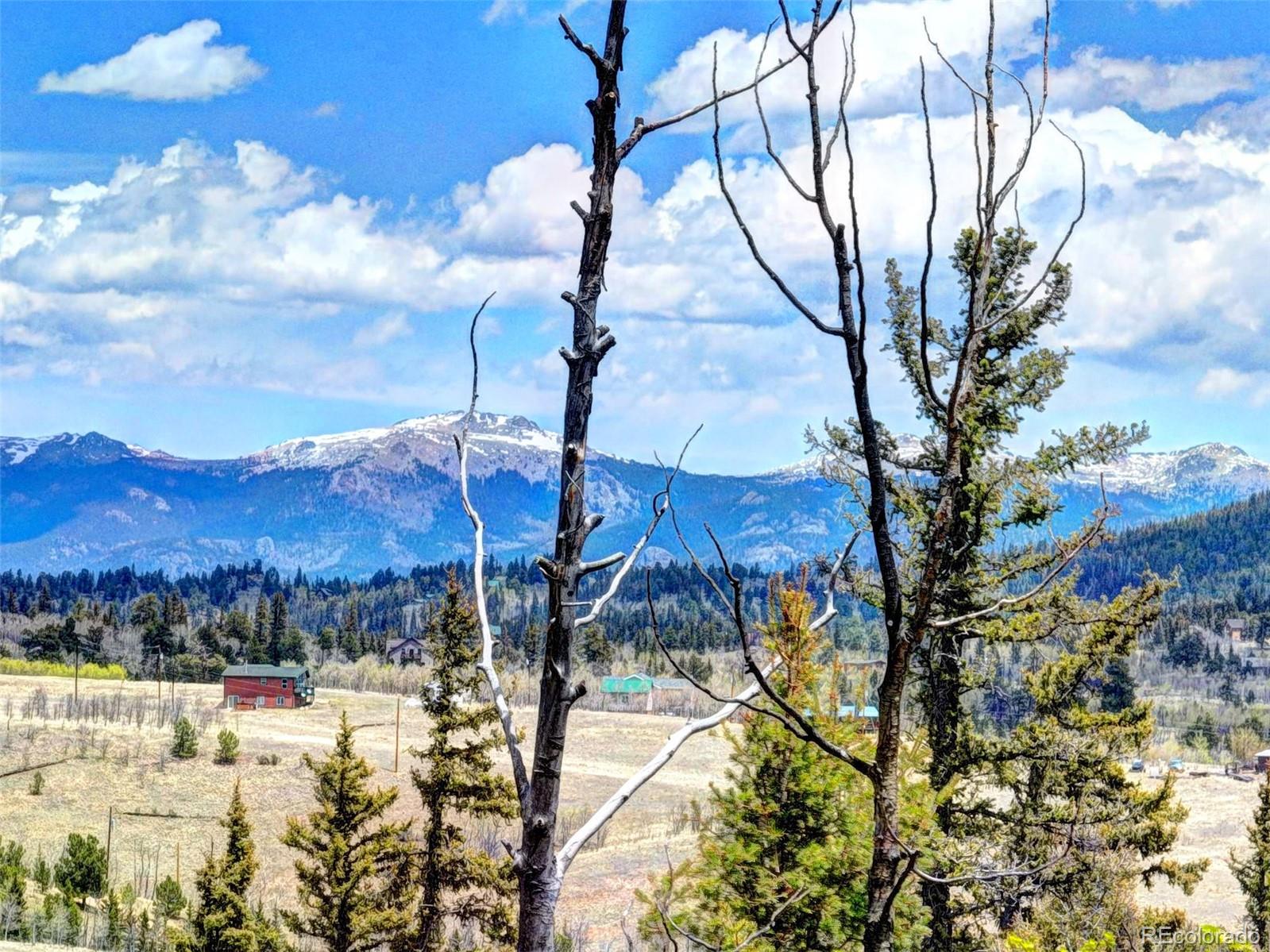 258 Old Squaw Road Como, CO 80432 - Photo 5 of 36 a view of a backyard of the house