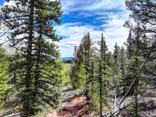 a view of outdoor space with lots of trees