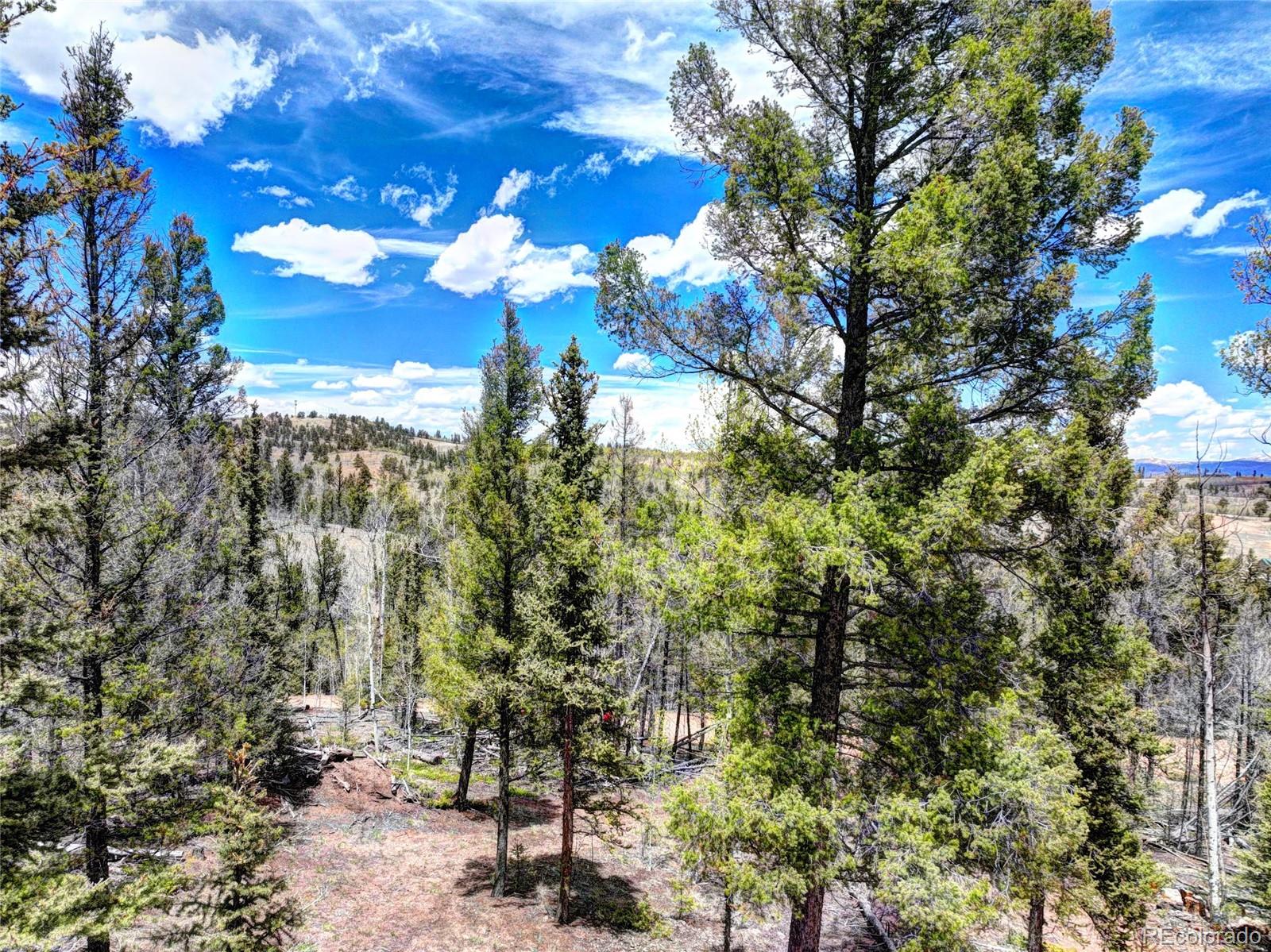258 Old Squaw Road Como, CO 80432 - Photo 10 of 36 a view of a city with lots of trees