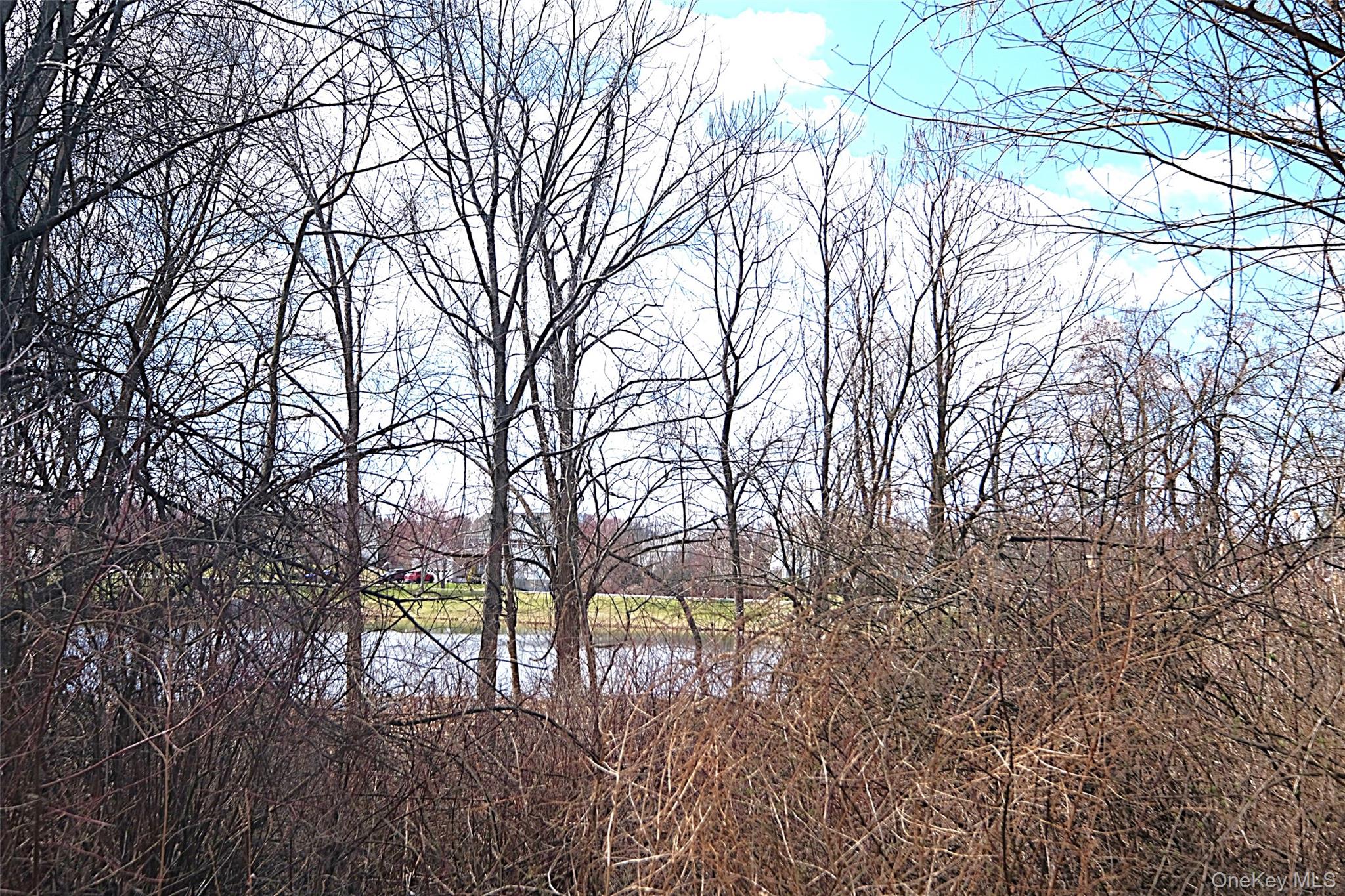 68 Bushwick Road Poughkeepsie, NY 12603 - Photo 30 of 32