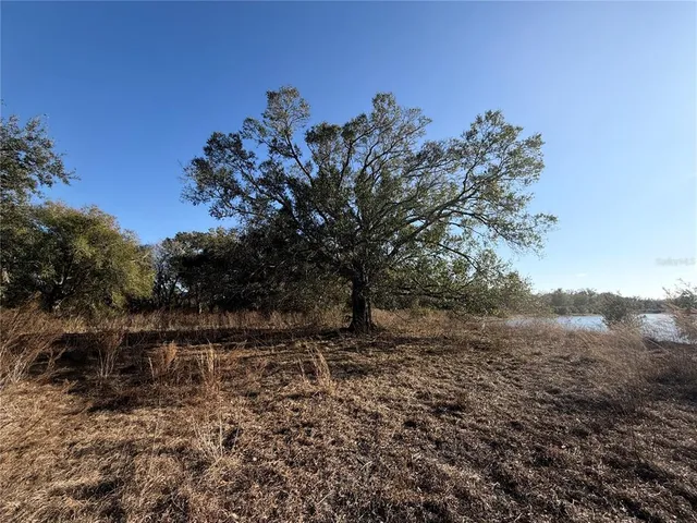 $2,000,000 | 17 100ac Highway Northeast, Arcadia, FL 34266