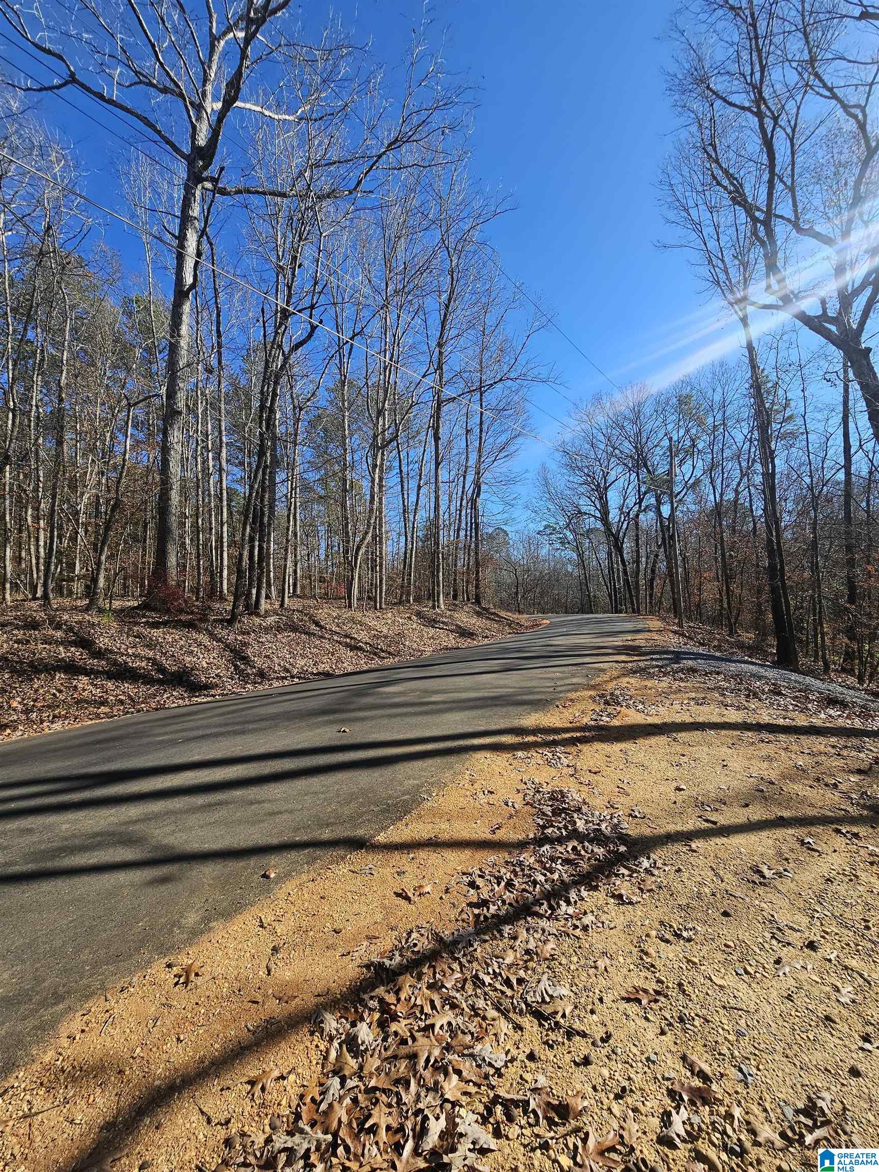 165 Joe's Fish Camp Road Titus, AL 36080 - Photo 22 of 35 Gallery Image 22