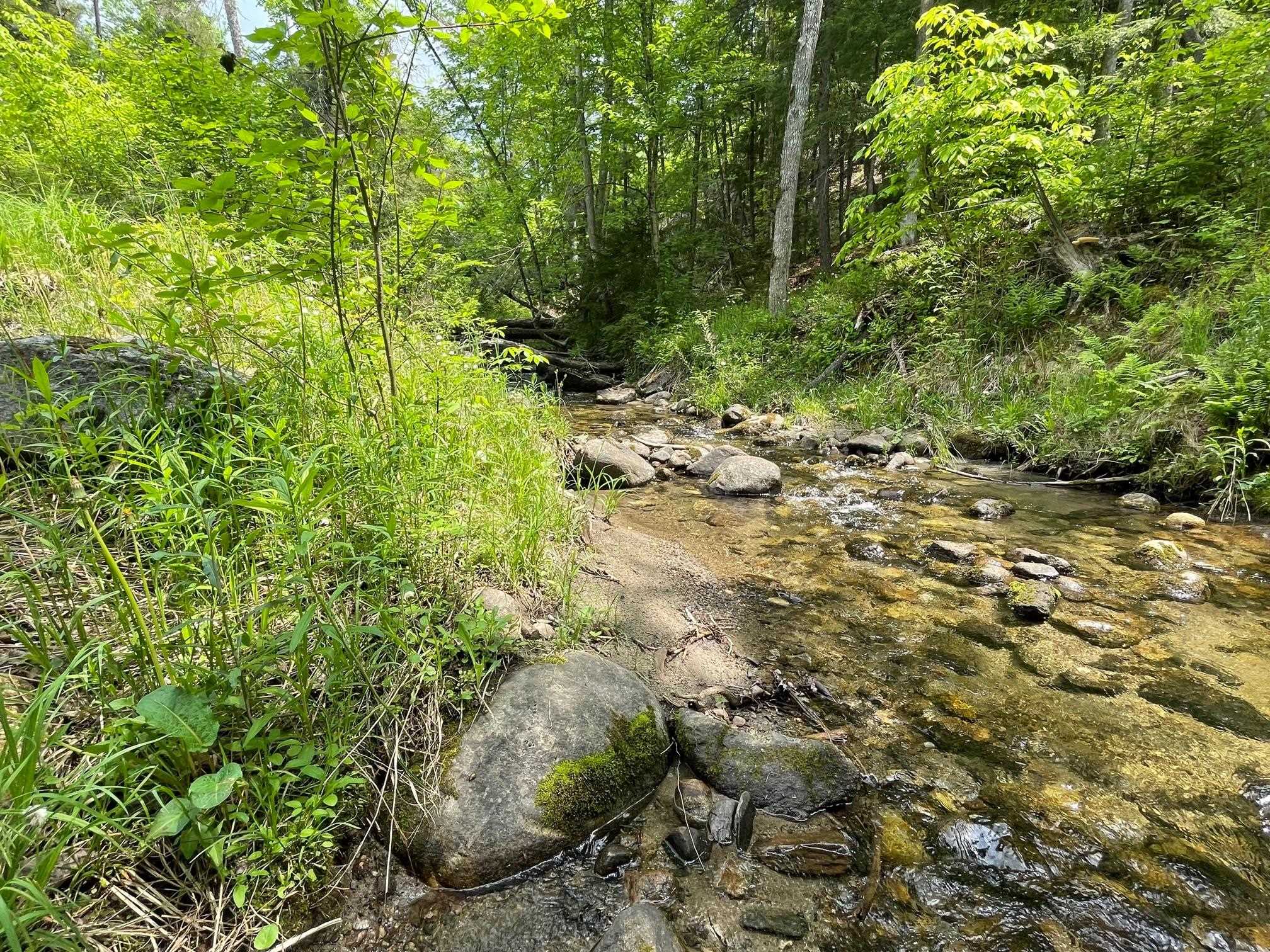 0 Flanders Brook Road East Corinth, VT 05040 - Photo 1 of 5