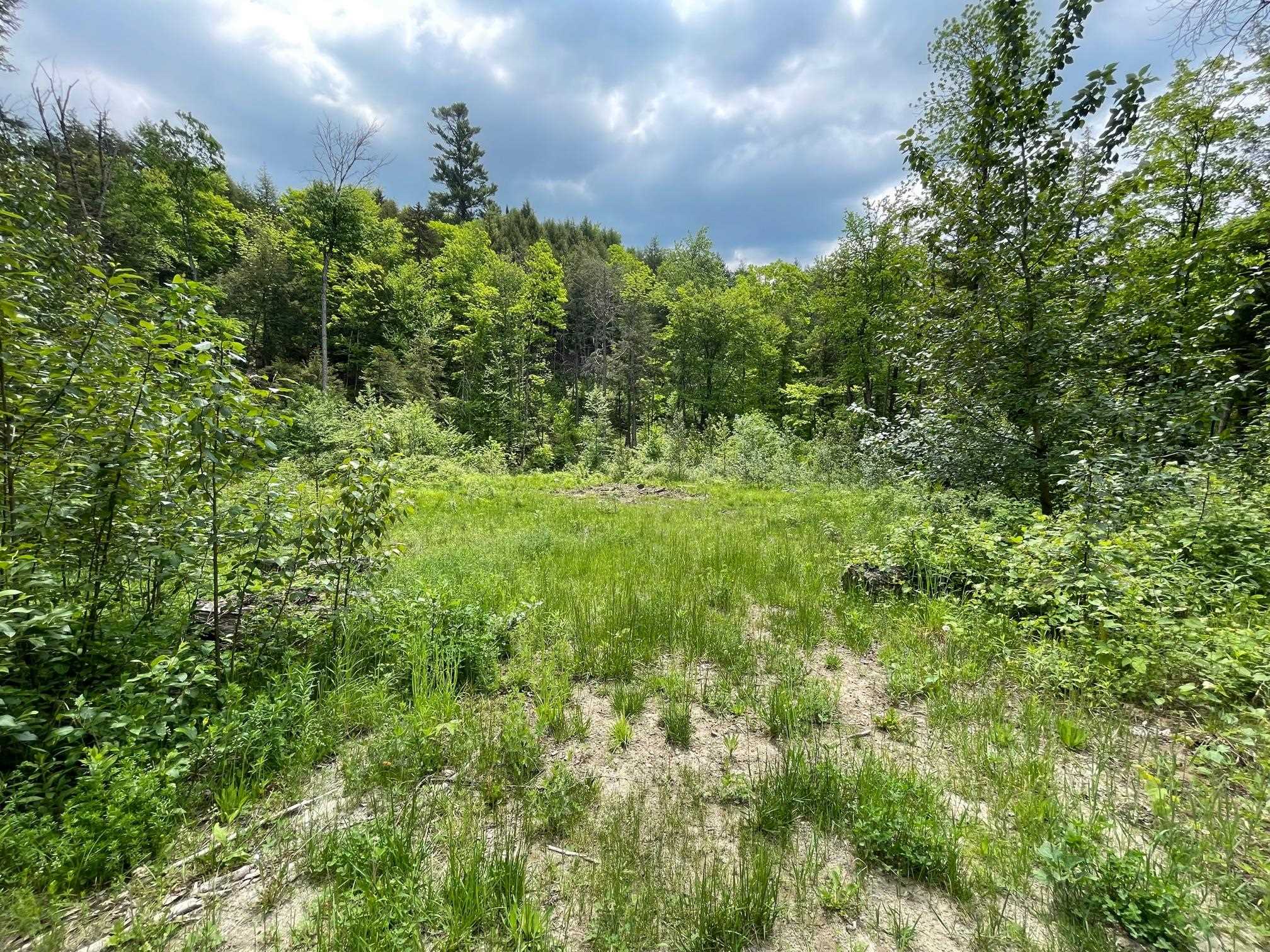 0 Flanders Brook Road East Corinth, VT 05040 - Photo 3 of 5