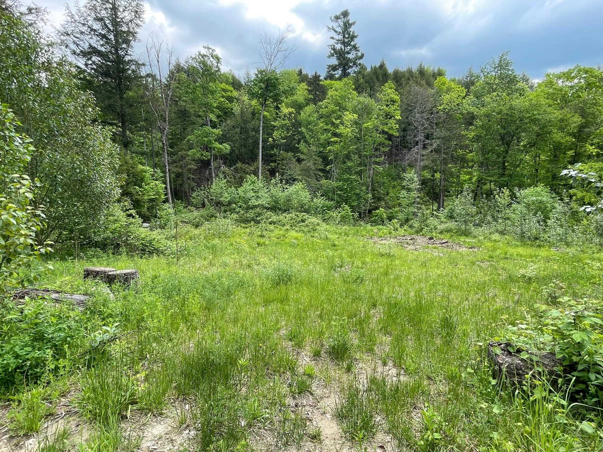 0 Flanders Brook Road East Corinth, VT 05040 - Photo 4 of 5