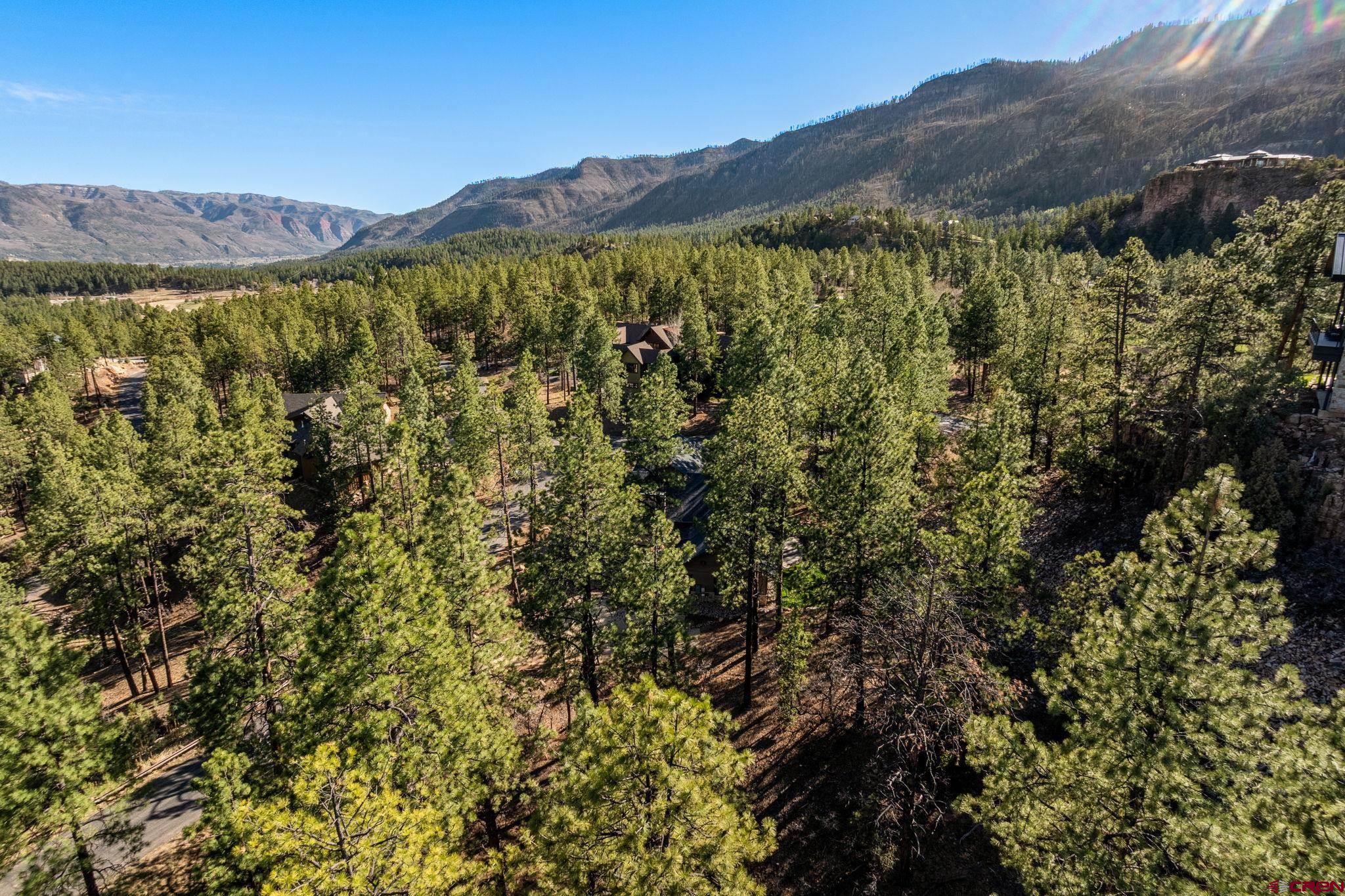 47 Ambush Canyon Durango, CO 81301 - Photo 6 of 18