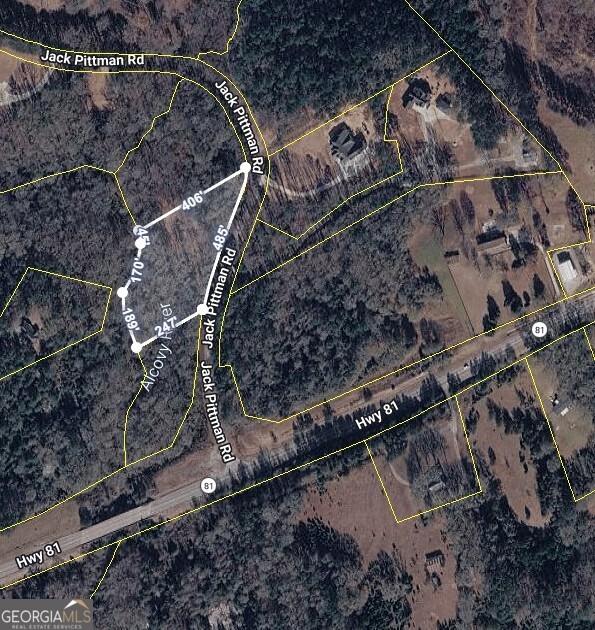 0 Jack Pittman Road Monroe, GA 30019 - Photo 4 of 12