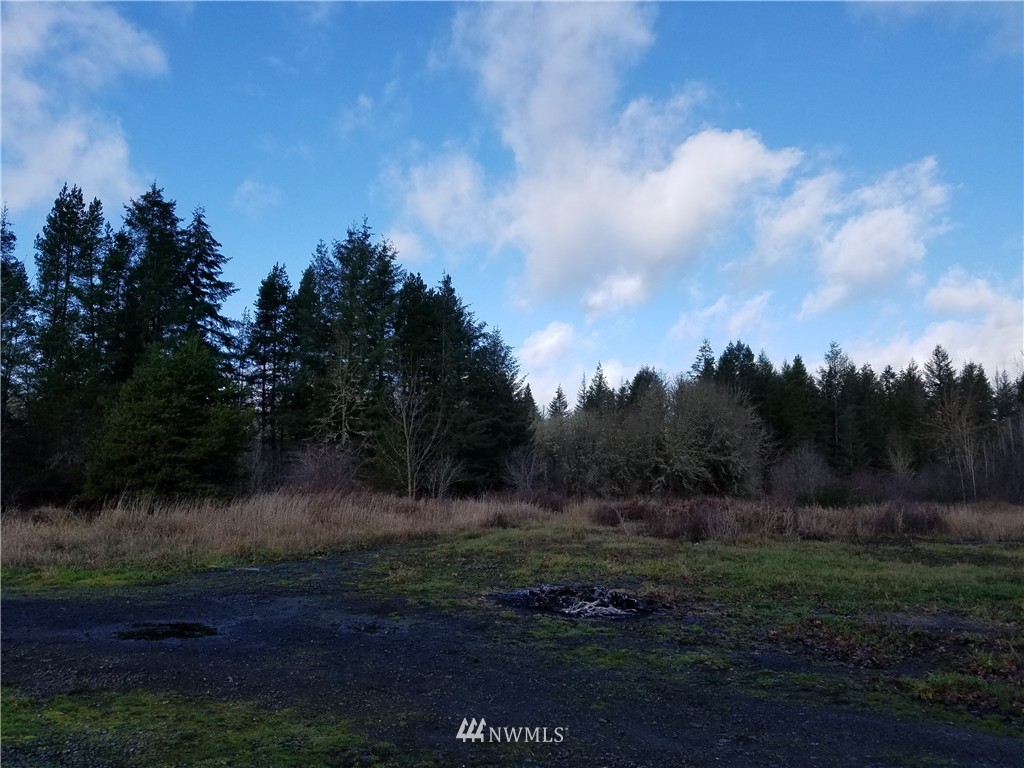 185 Pine Tree Road Winlock, WA 98596 - Photo 3 of 13