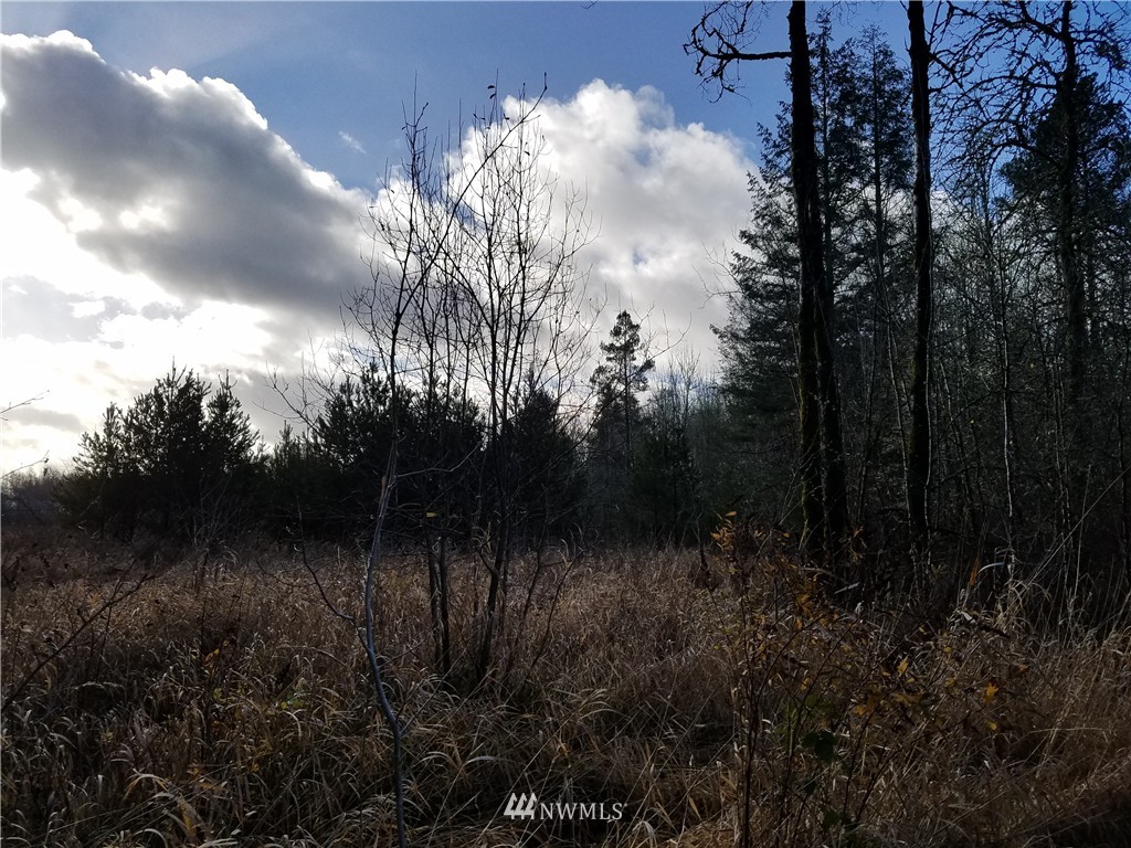 185 Pine Tree Road Winlock, WA 98596 - Photo 8 of 13