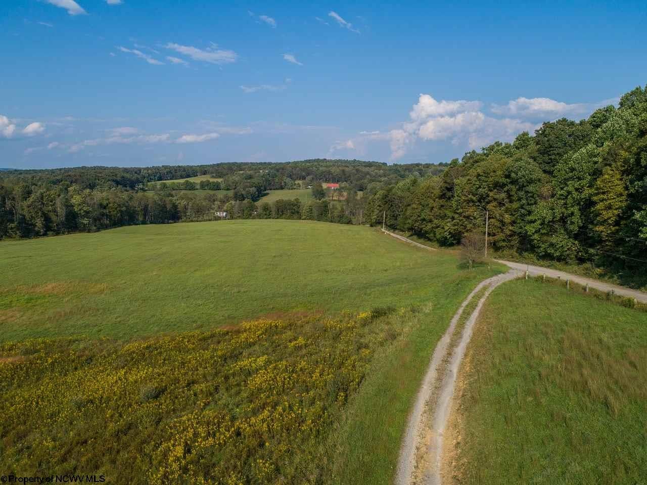 883 Little Sandy Road Bruceton Mills, WV 26525 - Photo 10 of 12 Gallery Image 10