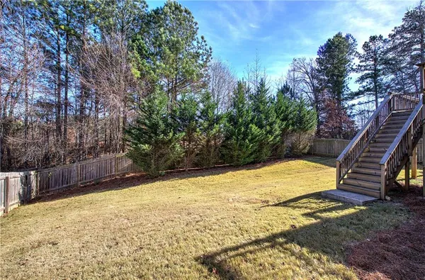 a view of a backyard with plants and large trees