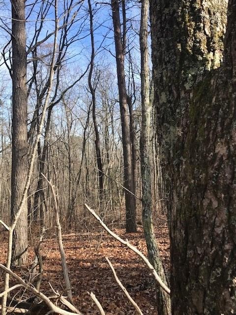 0 Mud Road Graysville, TN 37338 - Photo 6 of 19 Gallery Image 6