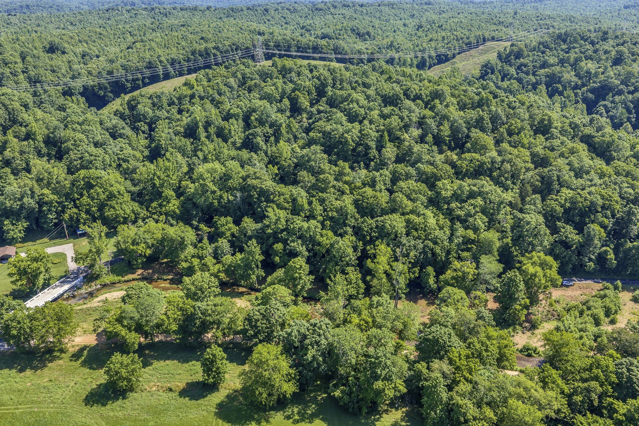 0 East Blue Creek Road McEwen, TN 37101 - Photo 7 of 17