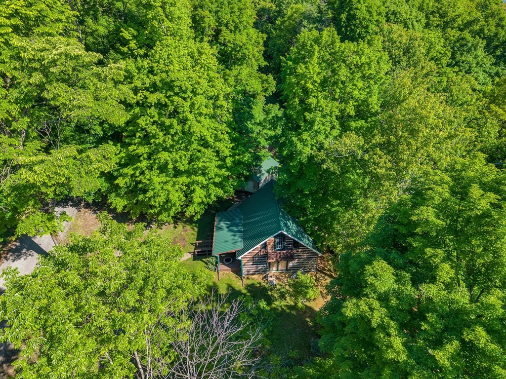 755 Woody Road Byrdstown, TN 38549 - Photo 31 of 37