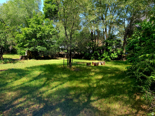 684 East 400 North Logan, UT 84321 - Photo 27 of 27 Expansive grassy yard area with mature trees and dense perimeter foliage
