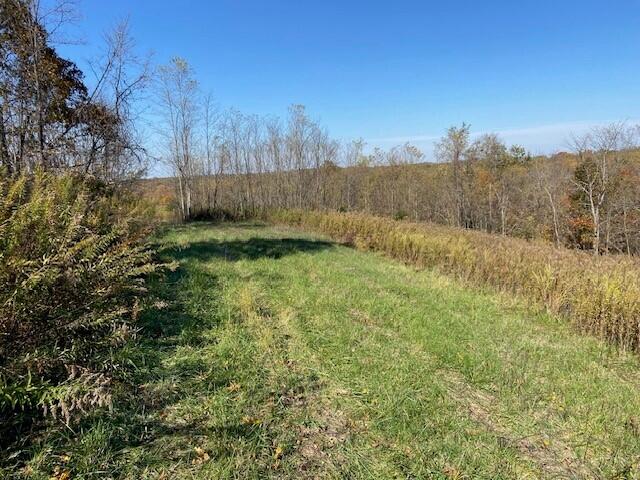 5420 Central Ridge Road Mount Olivet, KY 41064 - Photo 7 of 13