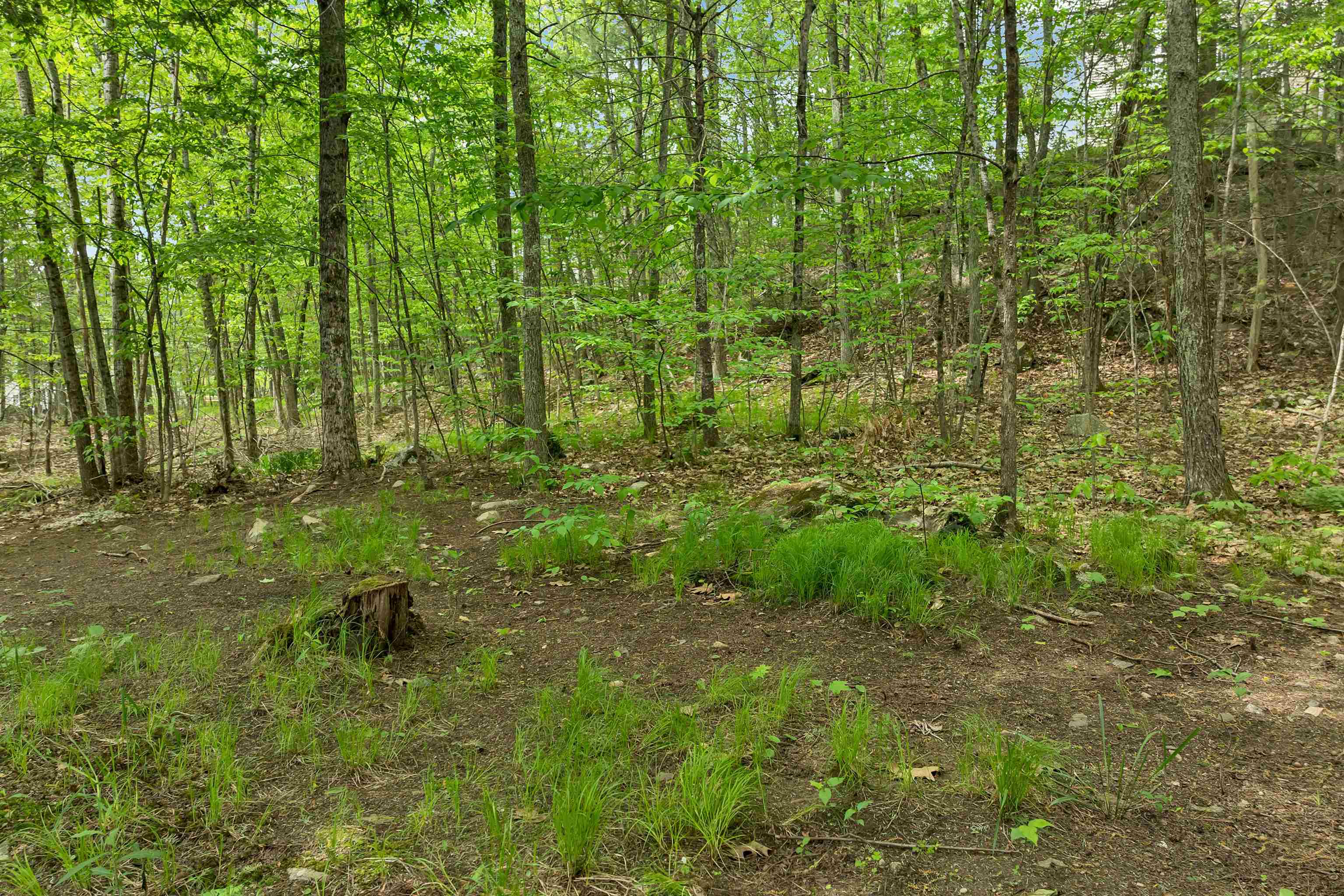 10 Edwin Lane Newmarket, NH 03857 - Photo 47 of 60