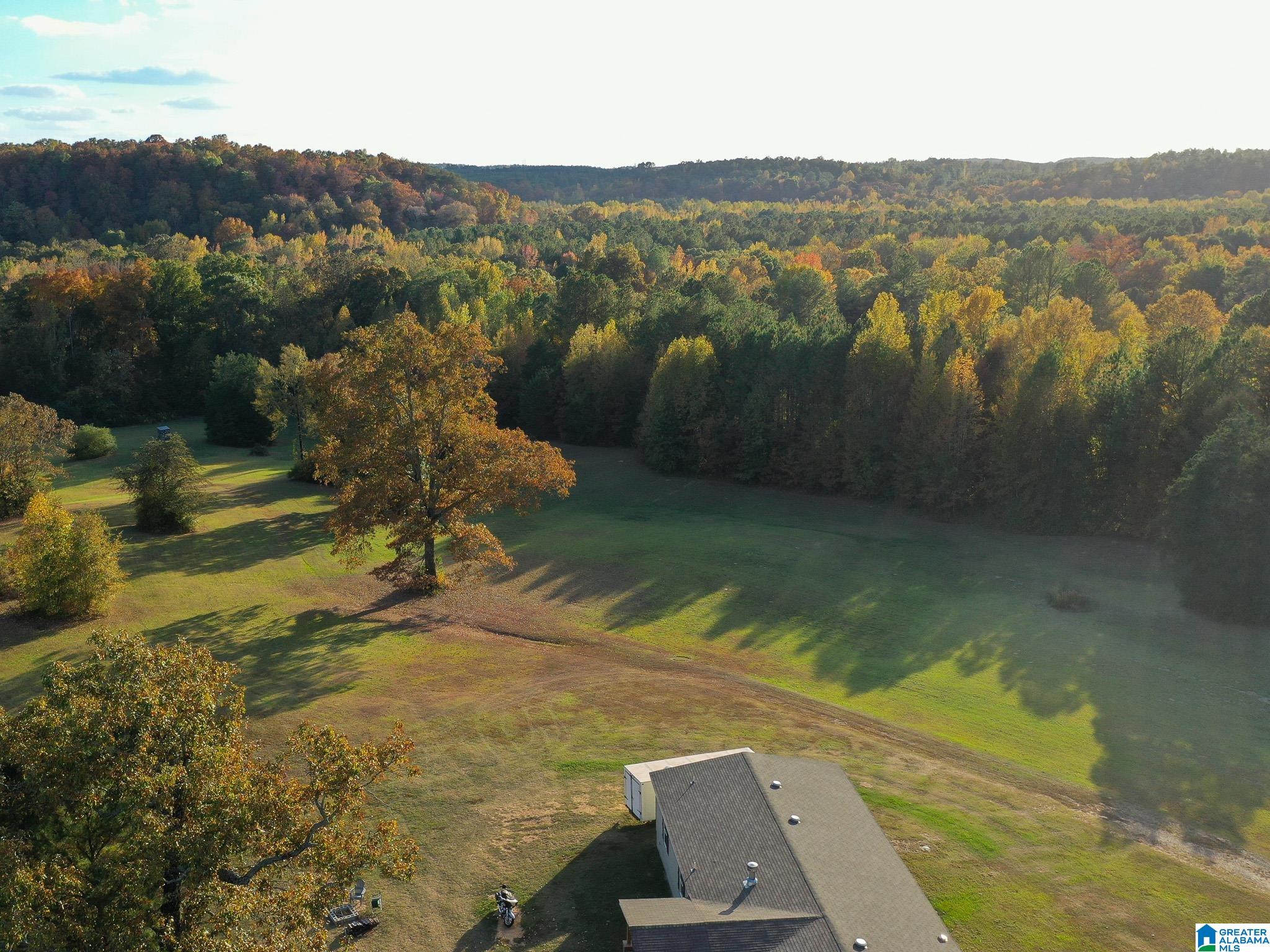 10715 Big Hurricane Road Brookwood, AL 35444 - Photo 22 of 47