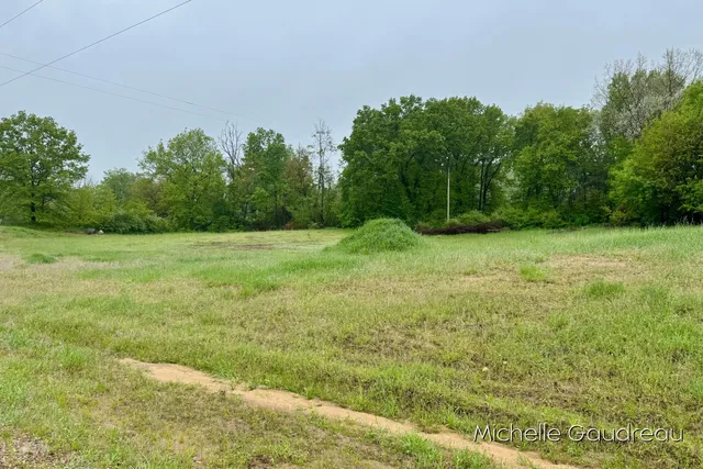 $94,900 | 1 Leaf Lane, Freeport, MI 49325