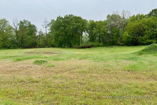 $94,900 | 1 Leaf Lane, Freeport, MI 49325