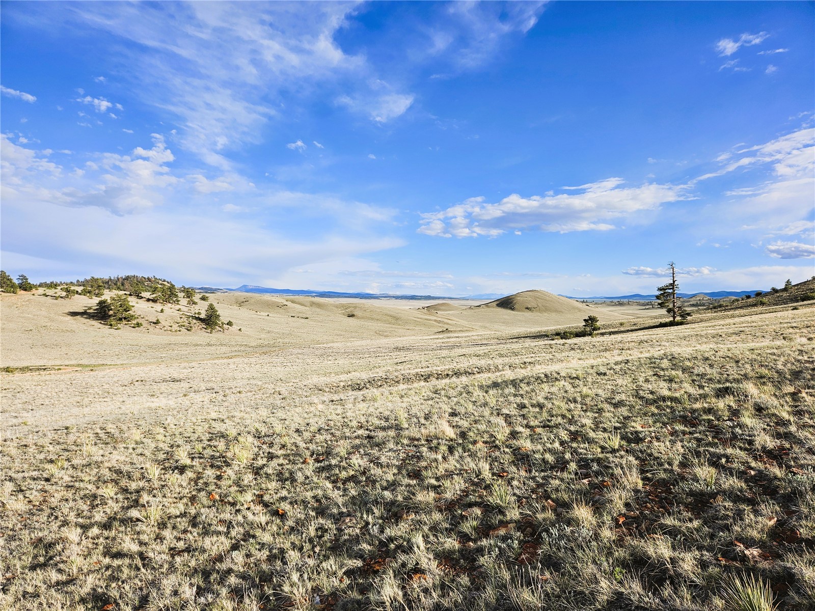 Pcs#24142 Antero Road Hartsel, CO 80449 - Photo 9 of 50