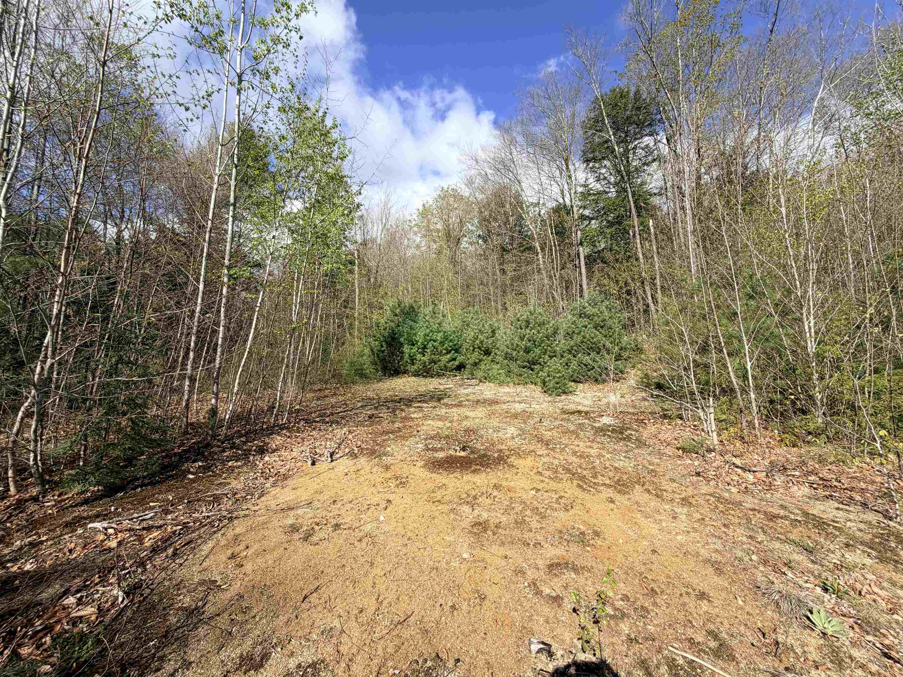 0 North Old Branch Road Antrim, NH 03440 - Photo 4 of 12