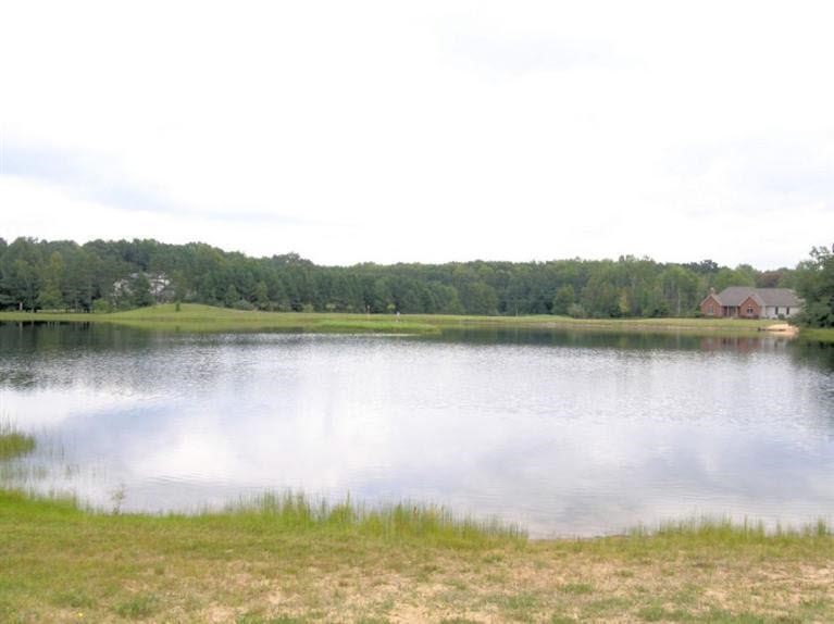 18309 Frandsche Road Oakley, MI 48649 - Photo 3 of 6