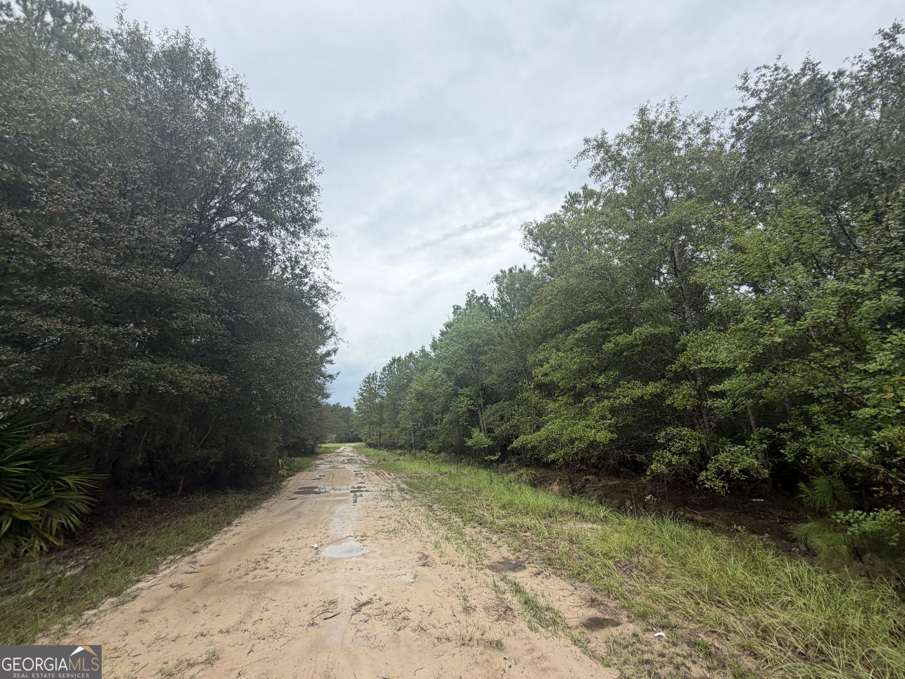 0 Jamestown Road Waycross, GA 31503 - Photo 17 of 92 Gallery Image 17