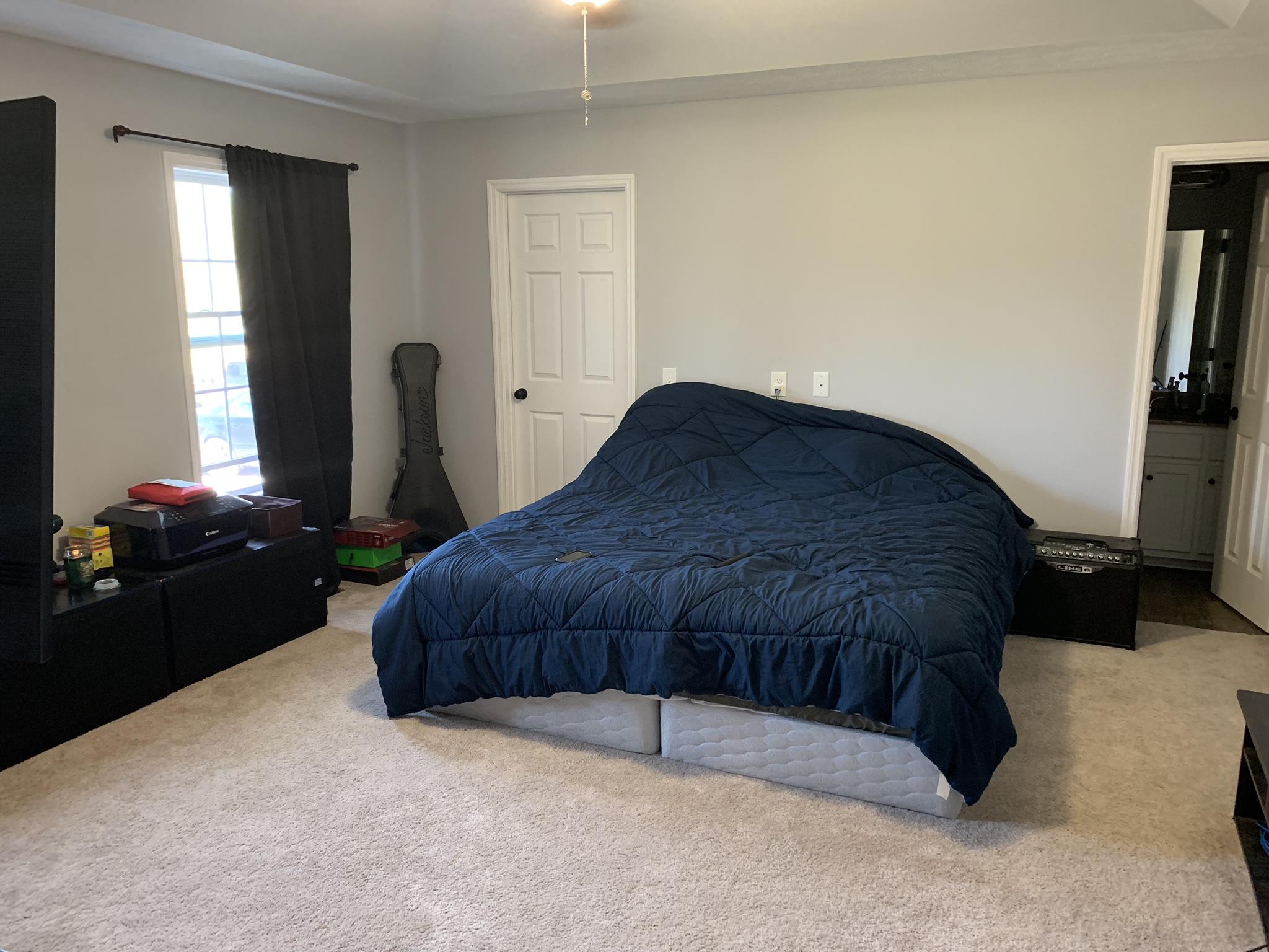 311 Goose Creek Road Alexandria, TN 37012 - Photo 6 of 22 Master bedroom
