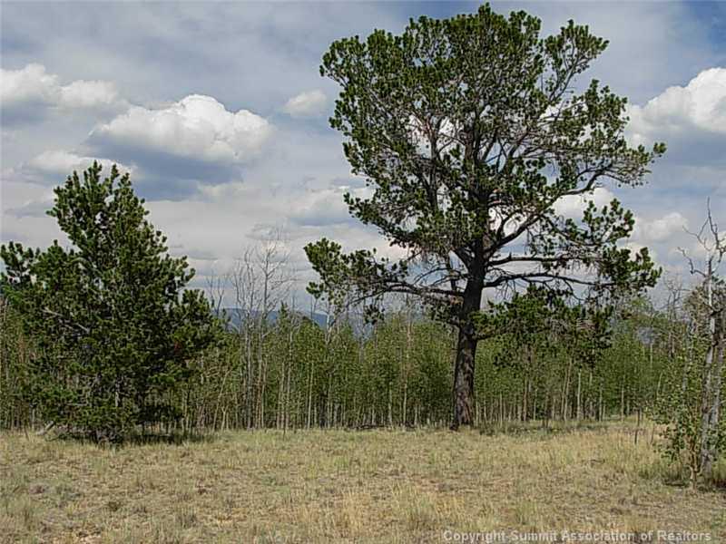 42 Smith And Wesson Road Como, CO 80432 - Photo 3 of 12 Gallery Image 3