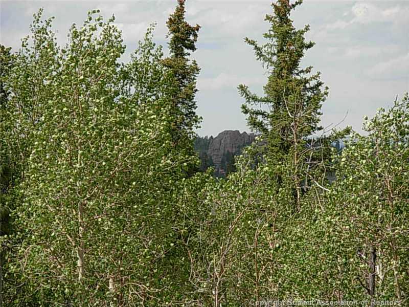 42 Smith And Wesson Road Como, CO 80432 - Photo 5 of 12 Gallery Image 5