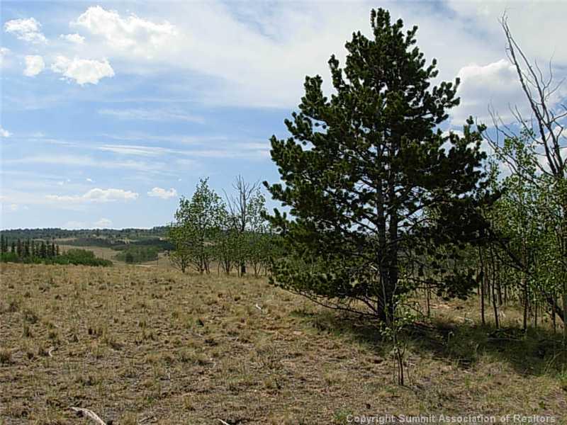 42 Smith And Wesson Road Como, CO 80432 - Photo 8 of 12 Gallery Image 8