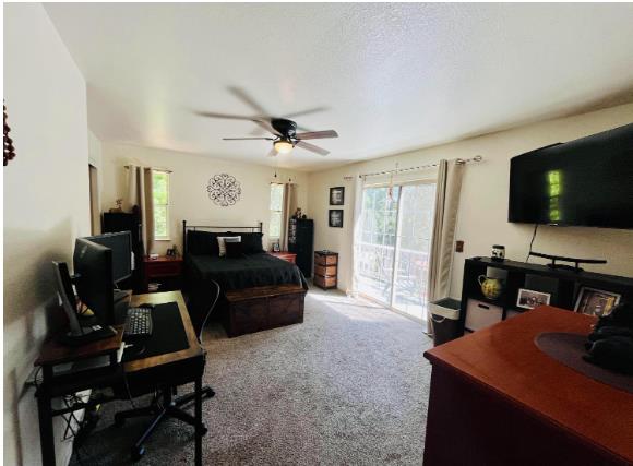 27165 Barton Road Pioneer, CA 95666 - Photo 18 of 22