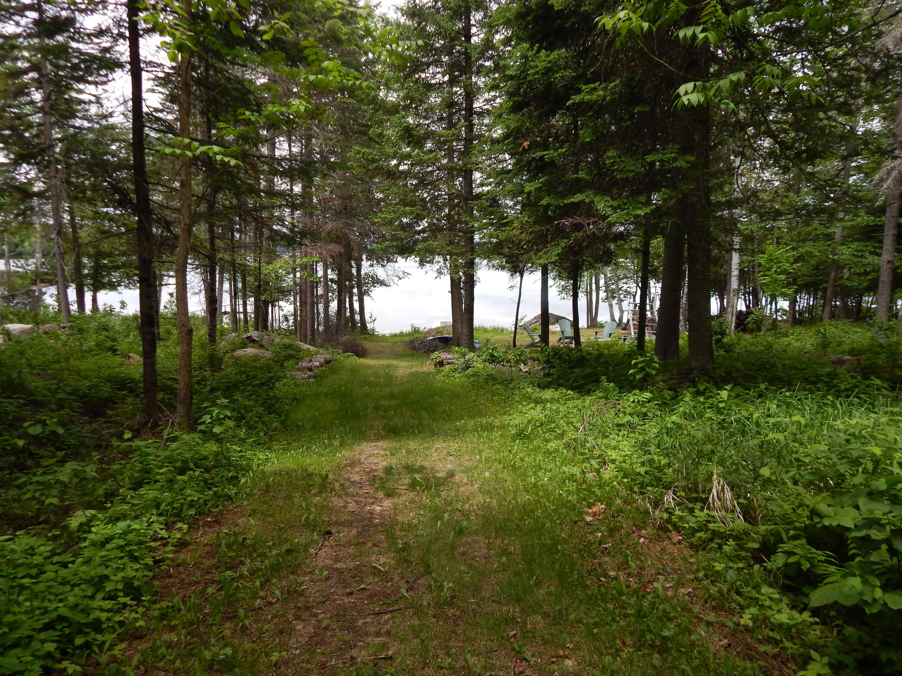 236 Mill Road Newry, ME 04261 - Photo 26 of 32 Pathway to the water