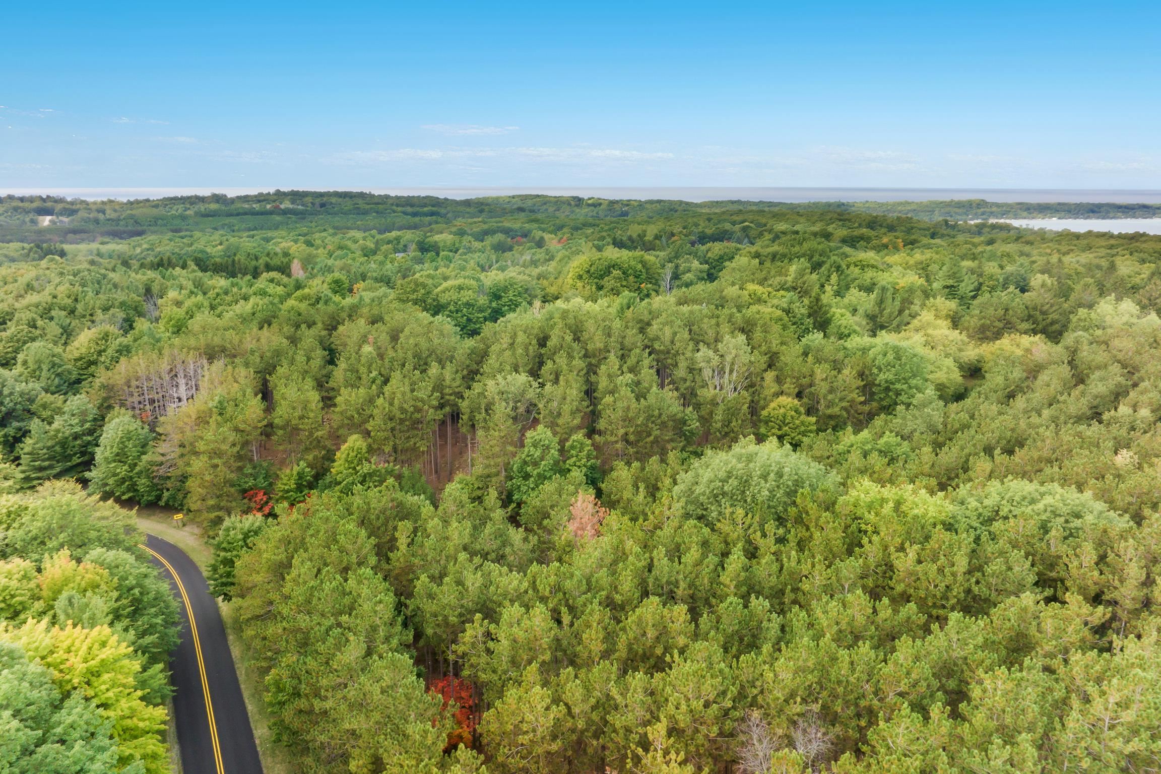 C Pautz Road Frankfort, MI 49635 - Photo 7 of 13