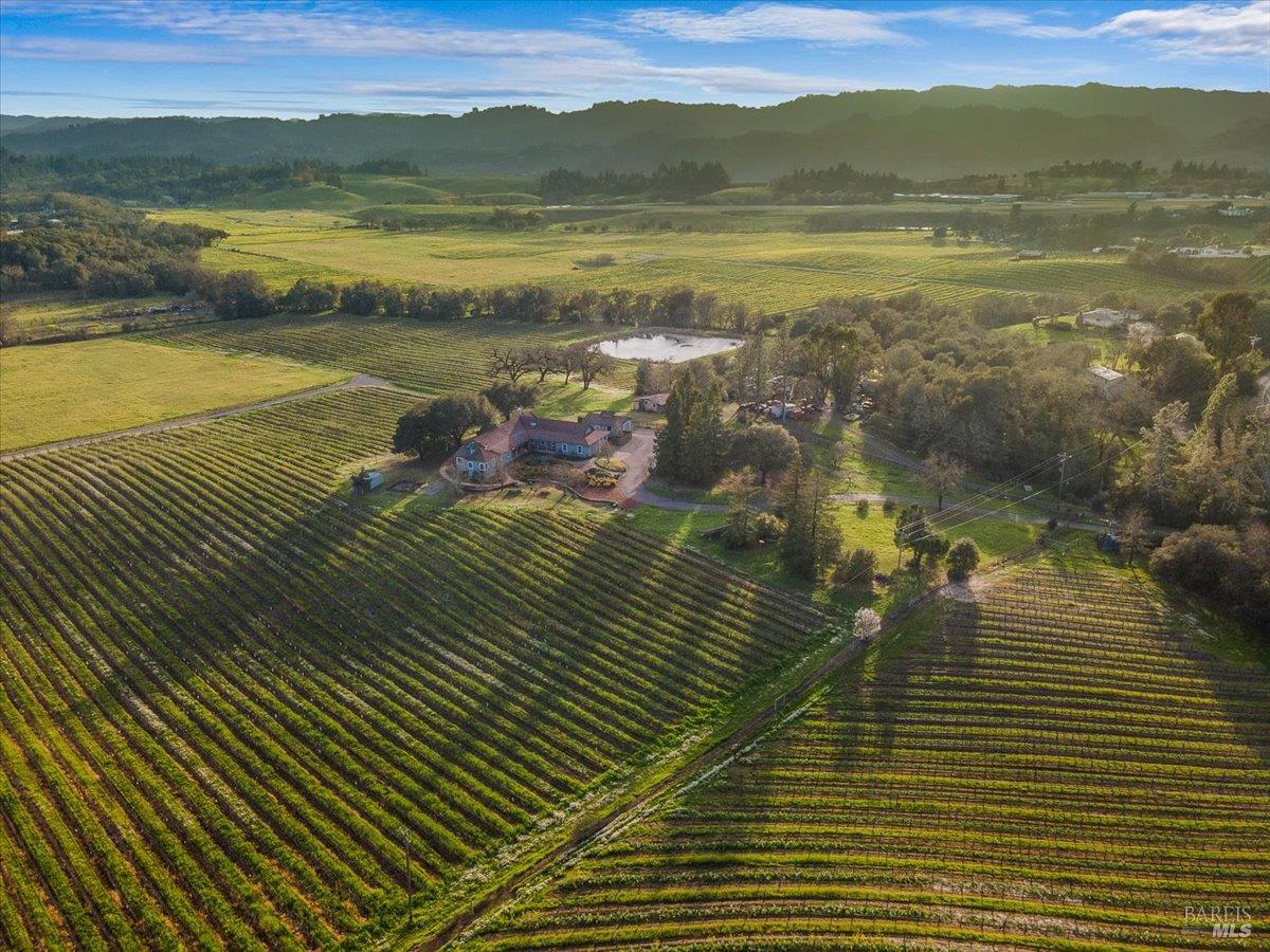 910-920 Lytton Springs Road Healdsburg, CA 95448 - Photo 3 of 59 Your 20 acres, expansive countryside with views stretching far and wide!